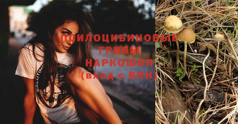 Галлюциногенные грибы MAGIC MUSHROOMS  Ступино 