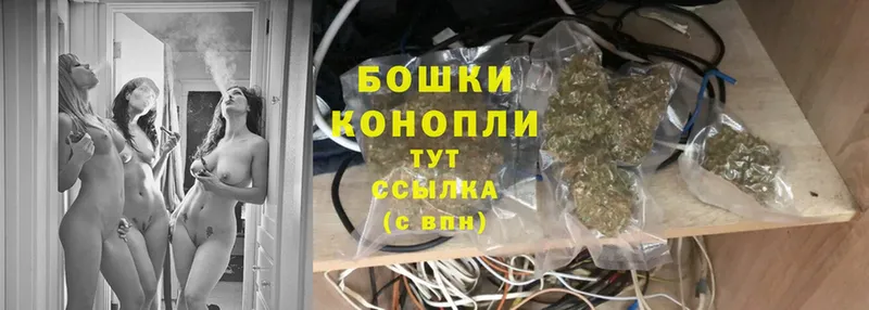 купить   Ступино  МАРИХУАНА SATIVA & INDICA 